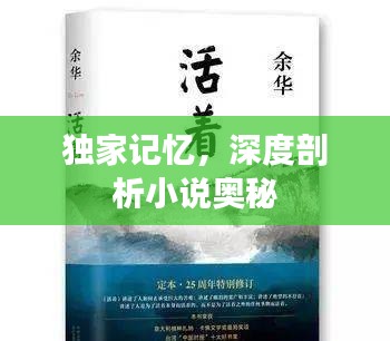獨(dú)家記憶，深度剖析小說(shuō)奧秘