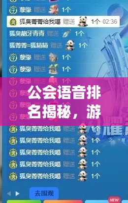 公會(huì)語(yǔ)音排名揭秘，游戲社交新潮流TOP10