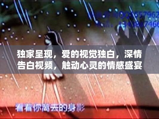 獨(dú)家呈現(xiàn)，愛的視覺獨(dú)白，深情告白視頻，觸動(dòng)心靈的情感盛宴