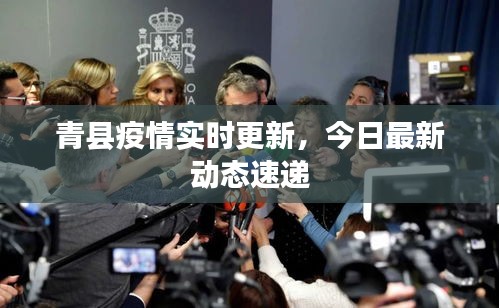青縣疫情實時更新，今日最新動態(tài)速遞