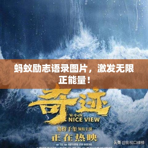 螞蟻勵志語錄圖片，激發(fā)無限正能量！