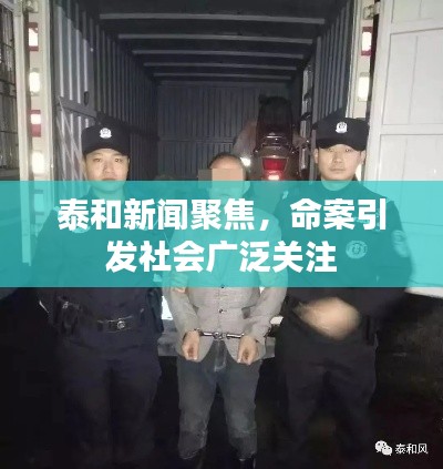 泰和新聞聚焦，命案引發(fā)社會(huì)廣泛關(guān)注