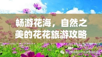 暢游花海，自然之美的花花旅游攻略大揭秘！