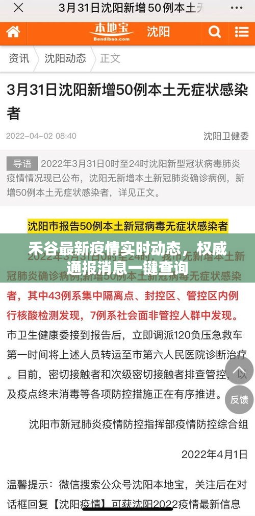禾谷最新疫情實時動態(tài)，權(quán)威通報消息一鍵查詢