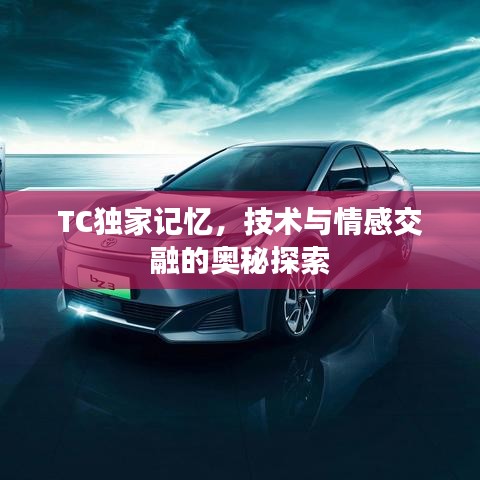 TC獨家記憶，技術(shù)與情感交融的奧秘探索