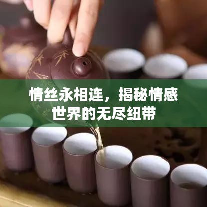 情絲永相連，揭秘情感世界的無(wú)盡紐帶