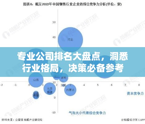 專業(yè)公司排名大盤(pán)點(diǎn)，洞悉行業(yè)格局，決策必備參考
