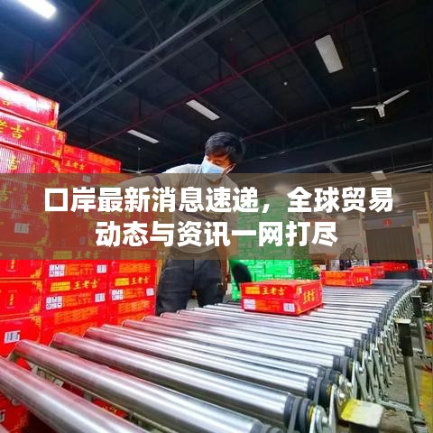 口岸最新消息速遞，全球貿(mào)易動態(tài)與資訊一網(wǎng)打盡