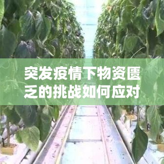 突發(fā)疫情下物資匱乏的挑戰(zhàn)如何應(yīng)對(duì)？