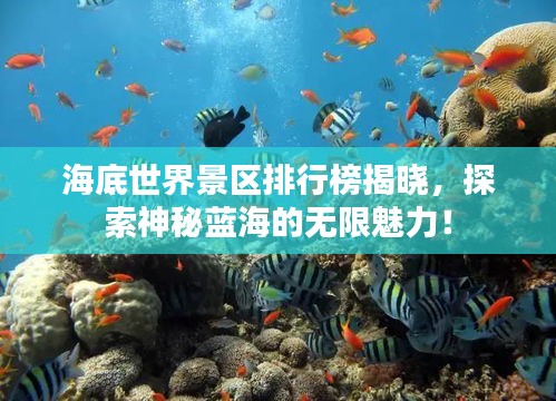海底世界景區(qū)排行榜揭曉，探索神秘藍(lán)海的無限魅力！