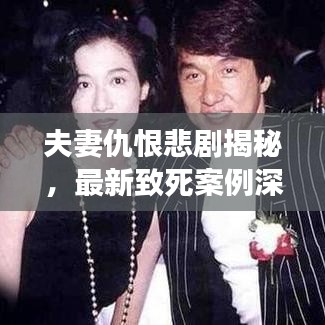 夫妻仇恨悲劇揭秘，最新致死案例深度剖析