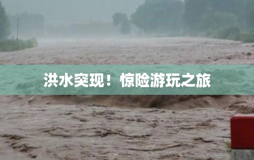 洪水突現(xiàn)！驚險游玩之旅