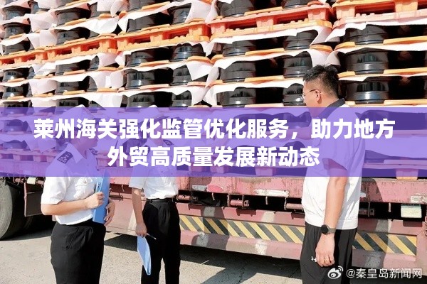 萊州海關強化監(jiān)管優(yōu)化服務，助力地方外貿高質量發(fā)展新動態(tài)