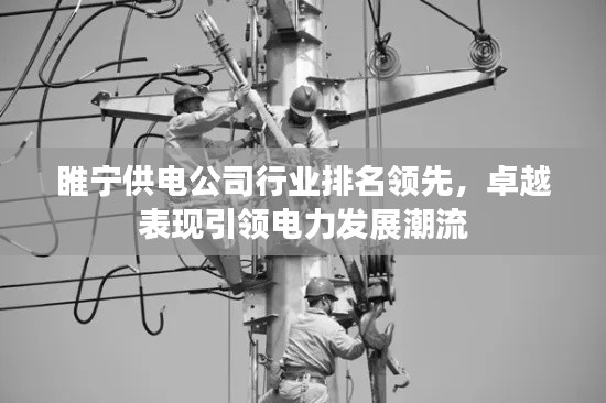 睢寧供電公司行業(yè)排名領(lǐng)先，卓越表現(xiàn)引領(lǐng)電力發(fā)展潮流