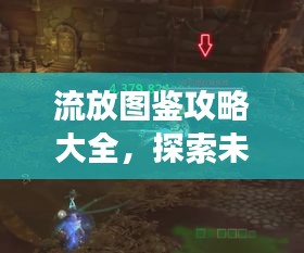 流放圖鑒攻略大全，探索未知領(lǐng)域，最新版攻略助你暢游游戲世界！
