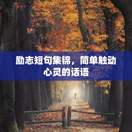 勵志短句集錦，簡單觸動心靈的話語