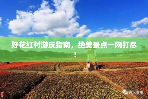 好花紅村游玩指南，絕美景點一網(wǎng)打盡！