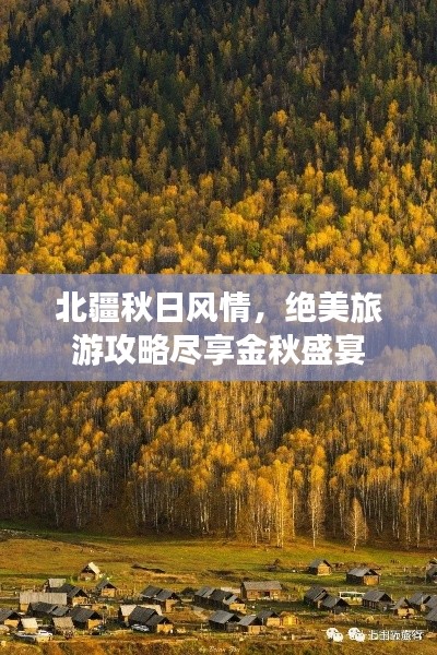 北疆秋日風(fēng)情，絕美旅游攻略盡享金秋盛宴