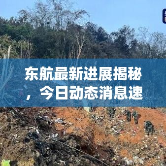 東航最新進(jìn)展揭秘，今日動(dòng)態(tài)消息速遞