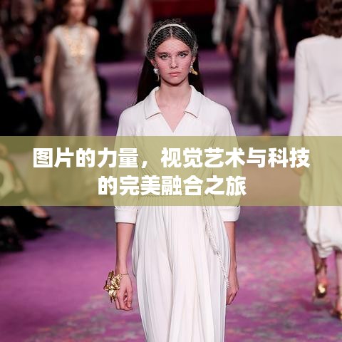 圖片的力量，視覺藝術(shù)與科技的完美融合之旅