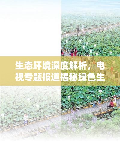 生態(tài)環(huán)境深度解析，電視專題報道揭秘綠色生態(tài)發(fā)展之路