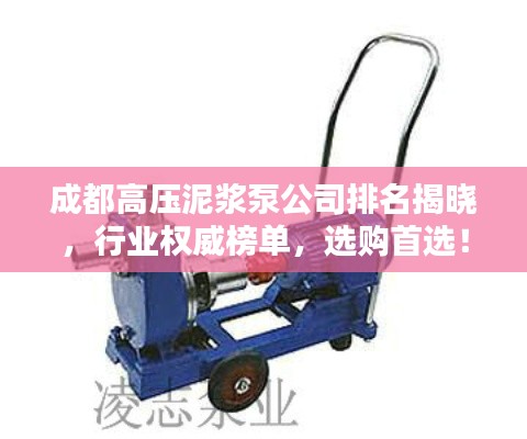 成都高壓泥漿泵公司排名揭曉，行業(yè)權(quán)威榜單，選購(gòu)首選！