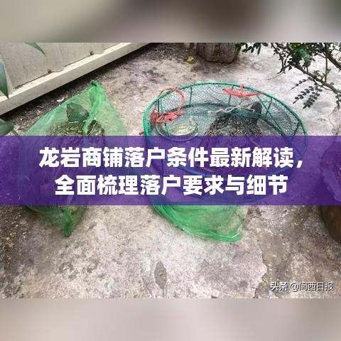 龍巖商鋪落戶條件最新解讀，全面梳理落戶要求與細節(jié)