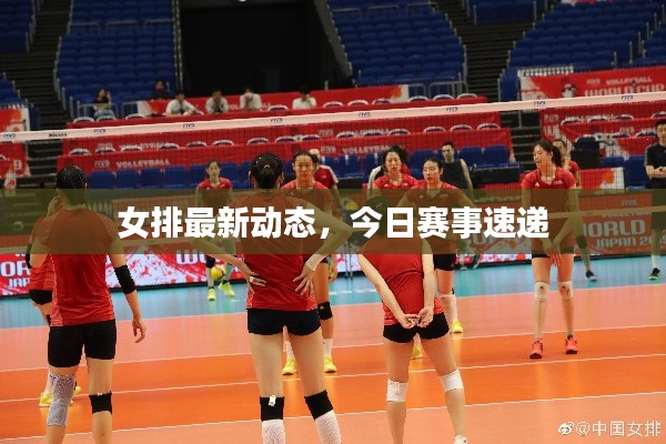 女排最新動態(tài)，今日賽事速遞