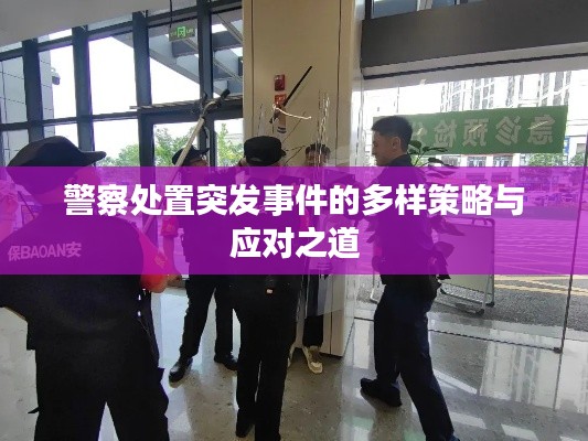 警察處置突發(fā)事件的多樣策略與應對之道
