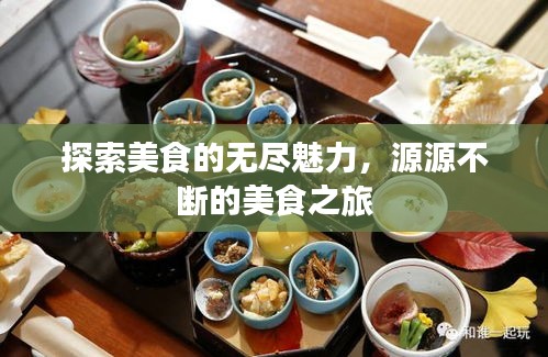 探索美食的無盡魅力，源源不斷的美食之旅