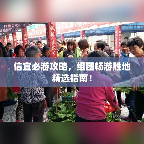 信宜必游攻略，組團(tuán)暢游勝地精選指南！
