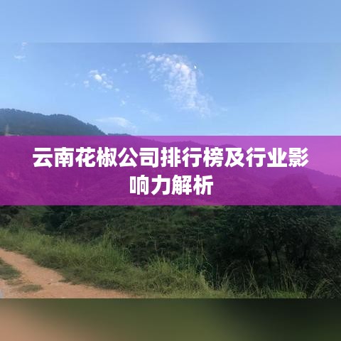 云南花椒公司排行榜及行業(yè)影響力解析