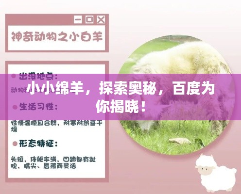 小小綿羊，探索奧秘，百度為你揭曉！