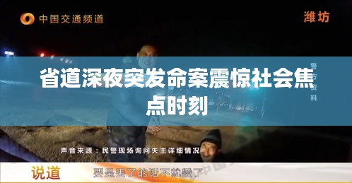 省道深夜突發(fā)命案震驚社會焦點時刻