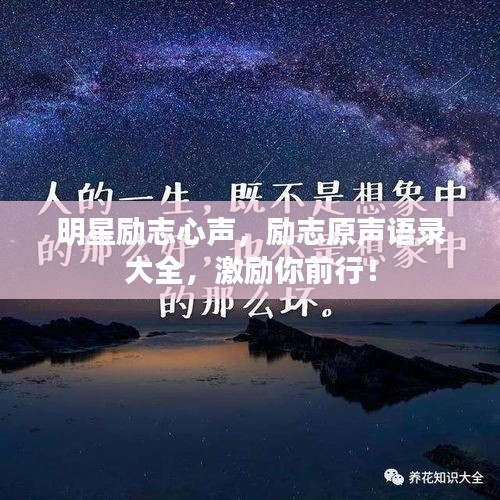 明星勵(lì)志心聲，勵(lì)志原聲語錄大全，激勵(lì)你前行！