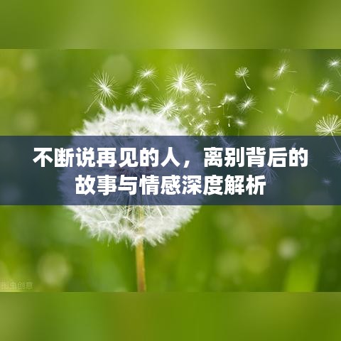 不斷說再見的人，離別背后的故事與情感深度解析