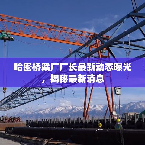 哈密橋梁廠廠長最新動態(tài)曝光，揭秘最新消息