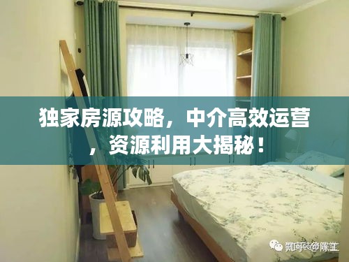 獨(dú)家房源攻略，中介高效運(yùn)營(yíng)，資源利用大揭秘！