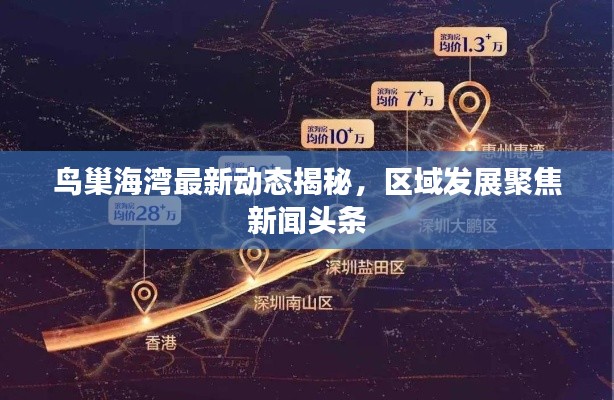 鳥巢海灣最新動態(tài)揭秘，區(qū)域發(fā)展聚焦新聞頭條
