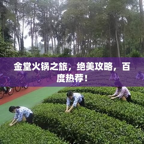 金堂火鍋之旅，絕美攻略，百度熱薦！