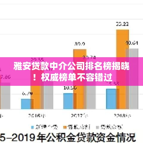 雅安貸款中介公司排名榜揭曉！權(quán)威榜單不容錯(cuò)過(guò)
