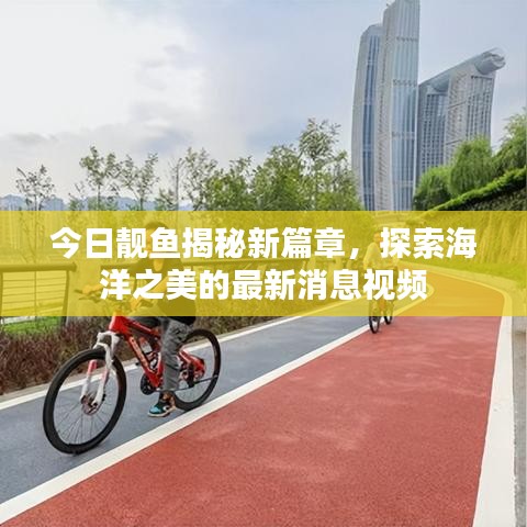 今日靚魚(yú)揭秘新篇章，探索海洋之美的最新消息視頻