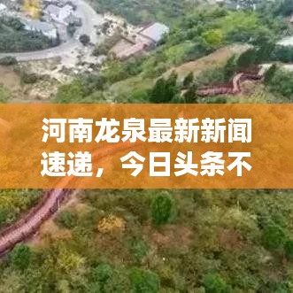 河南龍泉最新新聞速遞，今日頭條不容錯(cuò)過！