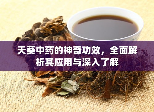 天葵中藥的神奇功效，全面解析其應用與深入了解