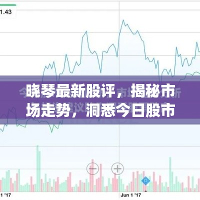 曉琴最新股評，揭秘市場走勢，洞悉今日股市動態(tài)