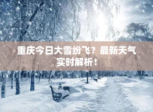 重慶今日大雪紛飛？最新天氣實(shí)時(shí)解析！