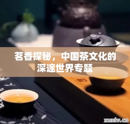 茗香探秘，中國(guó)茶文化的深邃世界專題