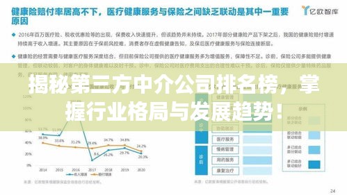 揭秘第三方中介公司排名榜，掌握行業(yè)格局與發(fā)展趨勢！