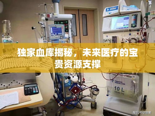 獨家血庫揭秘，未來醫(yī)療的寶貴資源支撐