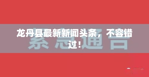 龍丹縣最新新聞?lì)^條，不容錯(cuò)過！